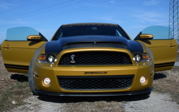 auto, veicolo, Guado, Shelby, 2012, netcarshow