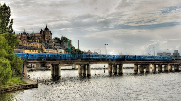 arquitetura, Árvores, cidade, Paisagem urbana, agua, reflexão