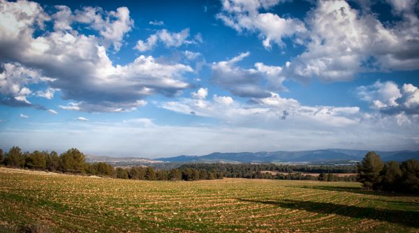 lumière du soleil, paysage, Coloré, colline, la nature, herbe