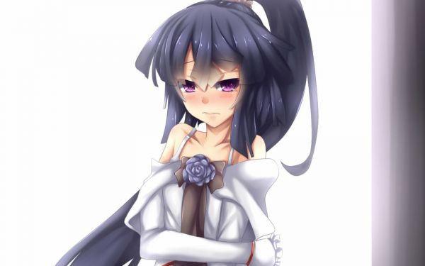 anime,anime girls,black hair,Log Horizon,Akatsuki Log Horizon,figurine