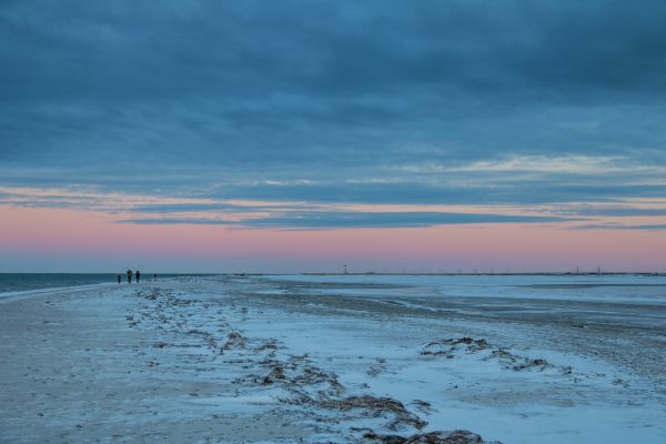 日光, 日没, 海, 海岸, 砂, 人