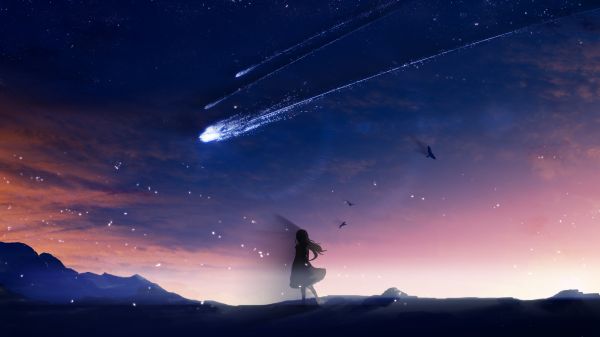 shooting stars,figures,women,dark,long hair,back