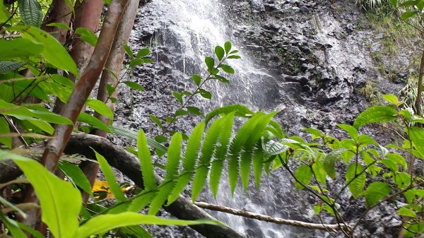 4128x2322 px,Hawaii,Kaau Crater,natuur,oahu,waterval