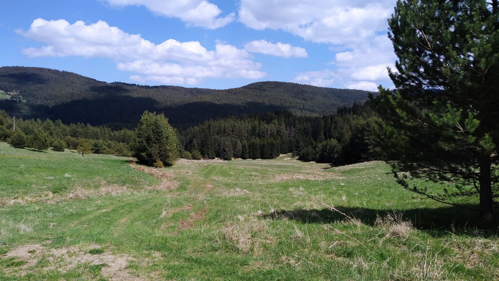 mountain view, green forest, Chmury