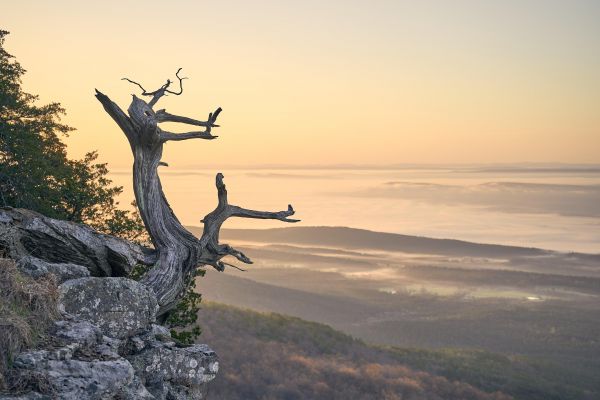 пейзаж,природа,сутрин,залез,изгрев,замъглено