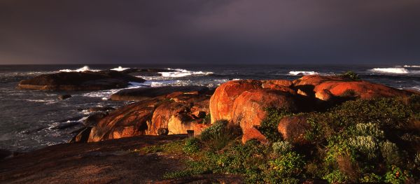 parkera,ljus,väster,storm,elefant,slå samman