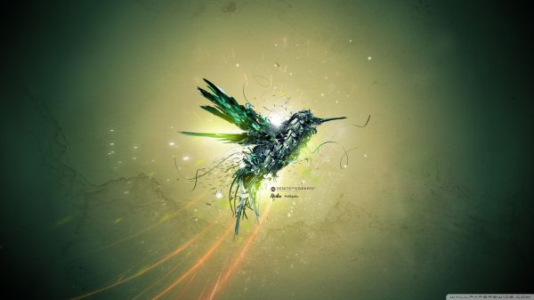 colibri fugl,2400x1350 px,Desktopography