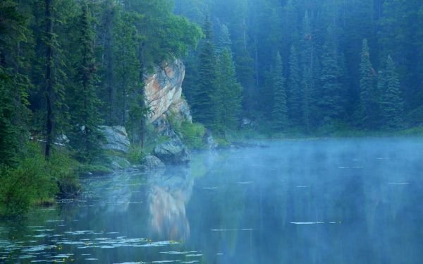 paesaggio, foresta, lago, natura, cascata, acqua