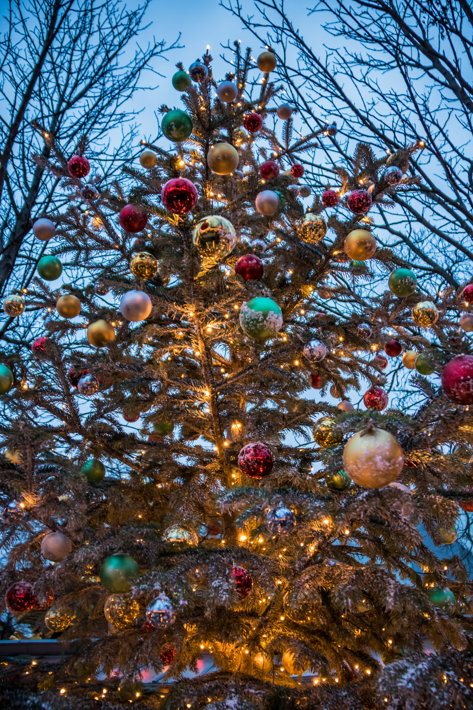 tak, Kerstboom, Kerstmis-, Denemarken, boom, herfst, blad, bloem, fabriek, seizoen, Kerstmis, kerstboom, julgran, julgranskulor, juli, danmark, tivoli, exif model canoneos760d, geocountry, camera maken canon, GeoCity, cameramodel canoneos760d, geostate, geolocatie, exif lens efs18200mmf3556is, exif maken canon, exif ISOSpeed ​​1600, exif focalLength 18mm, exif opening 35, kopenhavn, k penhamncopenhagen, ornamnents, houtachtige planten, kerst decoratie