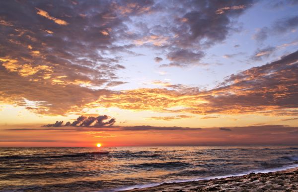 ocean, liv, blå, lys, solnedgang, hav