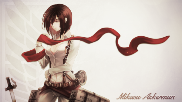 Shingeki no Kyojin,anime girls,anime,Mikasa Ackerman