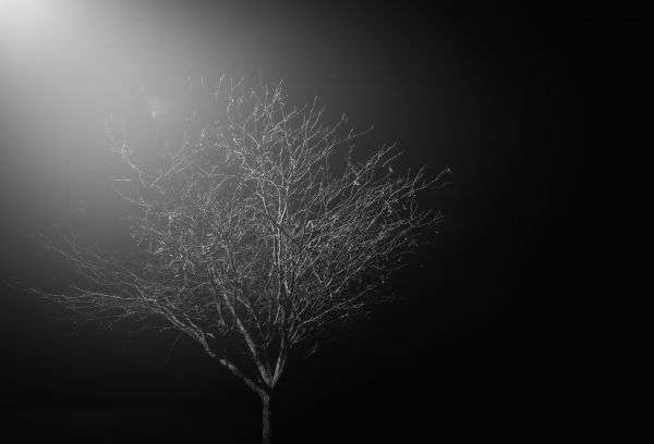 contraste,Monochrome,nuit,lumière du soleil,noir,foncé