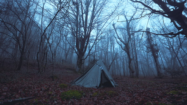 forest,camping,landscape,dark,tree house,forest clearing