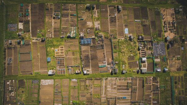 garden,farm,aerial view