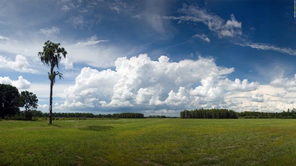 luz de sol,paisaje,colina,naturaleza,césped,cielo