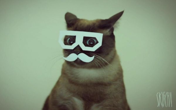 1680x1050 px,Gatos,Dubstep,bigote,Skifcha,estéreo