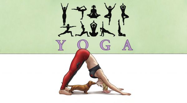 yoga,mujer,Trabajando,Obra de arte,perro