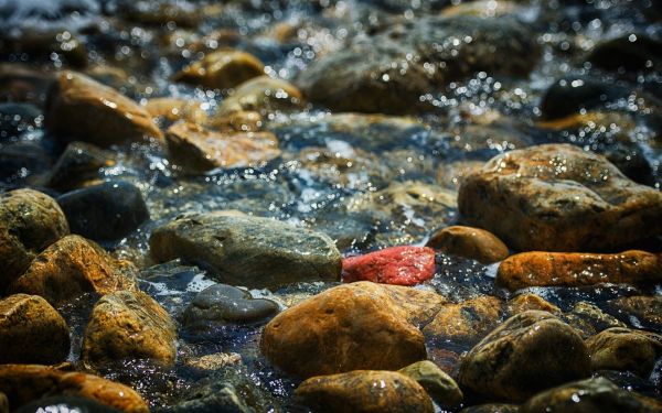 mare,acqua,roccia,natura,pietre,macro