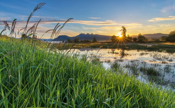 peisaj,pădure,apus de soare,lac,lumina soarelui,apă