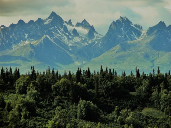 Berge,Landschaft,Holz