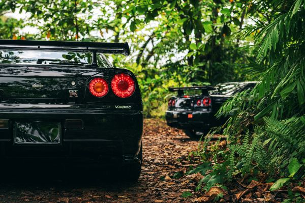 รถ,Nissan,นิสสันสกายไลน์,Nissan Skyline R34