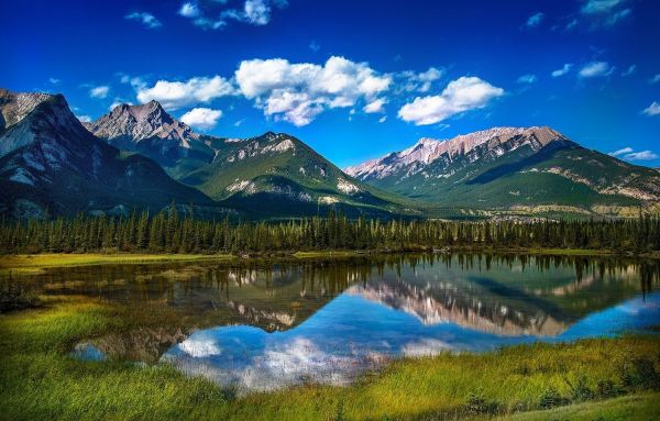 paesaggio, foresta, montagne, lago, natura, riflessione