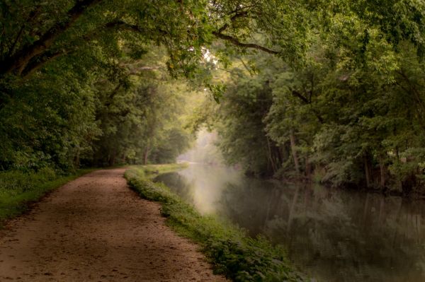 luz de sol,paisaje,bosque,naturaleza,río,Valle