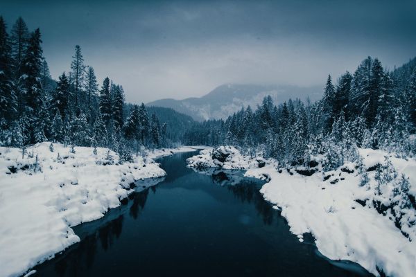 natur,vinter,landskap,elv,kald,trær