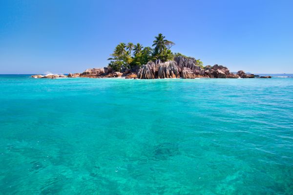 sea,bay,beach,stones,coast,palm trees