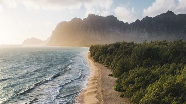 landschap,natuur,bergen,strand,zee,bomen