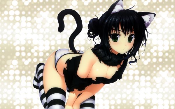 Anime,Chicas anime,niña Gata,Cabello negro,ropa,disfraz