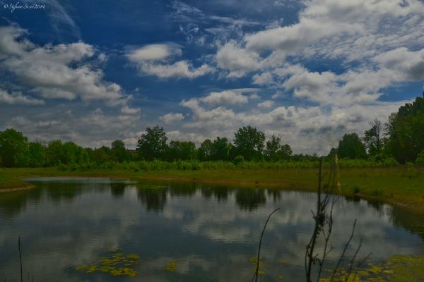 paysage, Lac, eau, la nature, réflexion, Italie