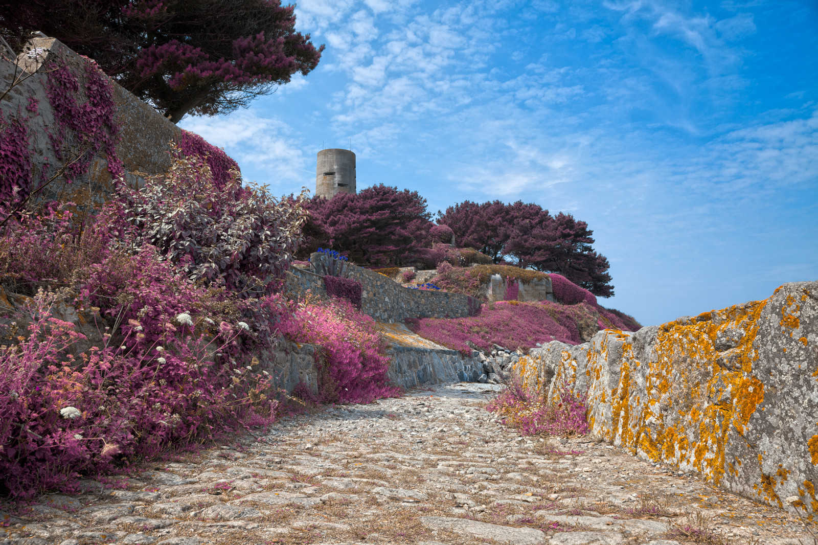 UK, rejse, lyserød, blå, træer, rød, himmel, orange, Sky, Brun, hvid, sort, farve, farve, træ, tårn, historie, Turisme, monument, farver, smuk, skønhed, gul, klippe, sten-, væg, arkitektur, skyer, landskab, ø, landskabet, fantastisk, landskab, klipper, farverig, Europa, europæisk, farver, lilla, billede, overskyet, sten, levende, baggrund, forenet, Land, lager, naturskøn, billede, cyan, violet, Gratis, surrealistisk, Kongerige, milepæl, scene, arkitektoniske, historisk, løv, fantasi, nicolas, æterisk, historisk, raymond, vægge, farverig, isle, HDR, Guernsey, kanal, ressource, vibrering, somadjinn, freestockca