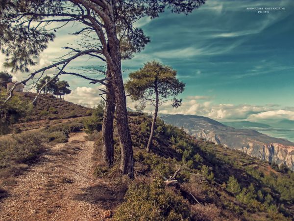 viagem, azul, Árvores, período de férias, céu, montanha