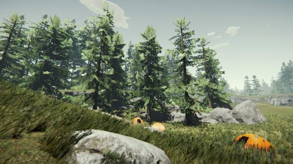 videogiochi,The Forest Seasons