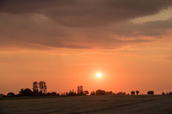 sollys,landskap,solnedgang,hav,himmel,felt