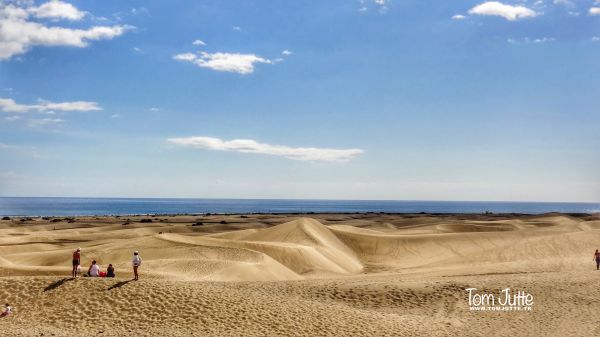 paesaggio, mare, natura, bicicletta, puntellare, sabbia