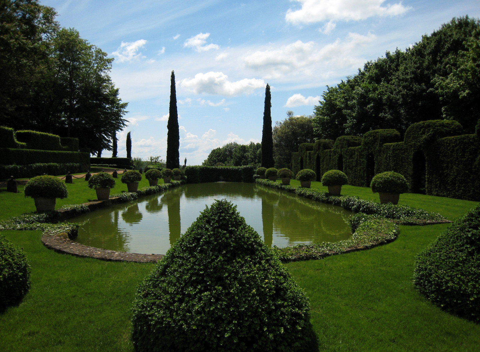 estanque, yarda, jardín, registro, Arbustos, verde, Conos