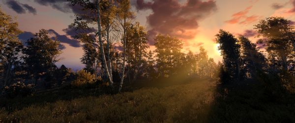 видео игри,В Witcher 3 див лов,Гералт от Ривия