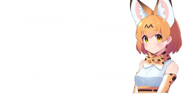 Kemono Φίλοι, λευκό φόντο, anime, κορίτσια anime, Serval Kemono Friends, αυτιά των ζώων