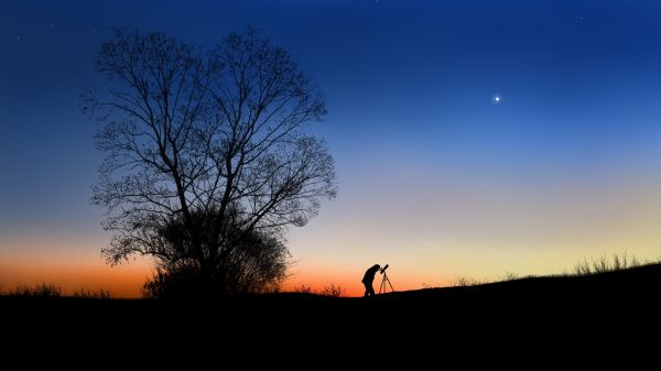 digitális festészet,digitális művészet,Szürkület,tájkép,sziluett,Stargazing