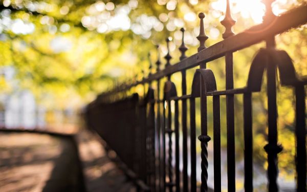 la nature,herbe,route,lumière du soleil,lumières,feuilles