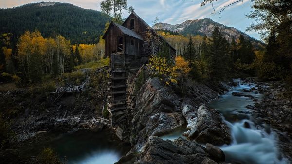 trær, landskap, skog, falle, foss, høyde