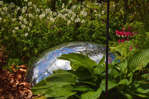 jardin, ciel, les plantes, des nuages, forêt, la nature