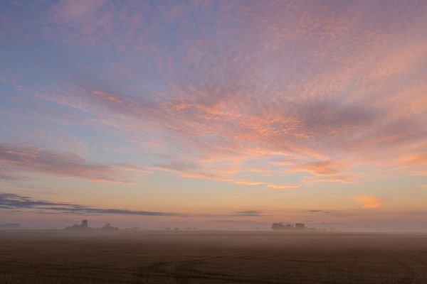 manhã,céu,nuvem,névoa,névoa,rural