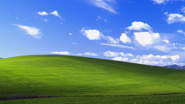 windows XP,tájkép,mező,felhők,fényképezés,boldogság