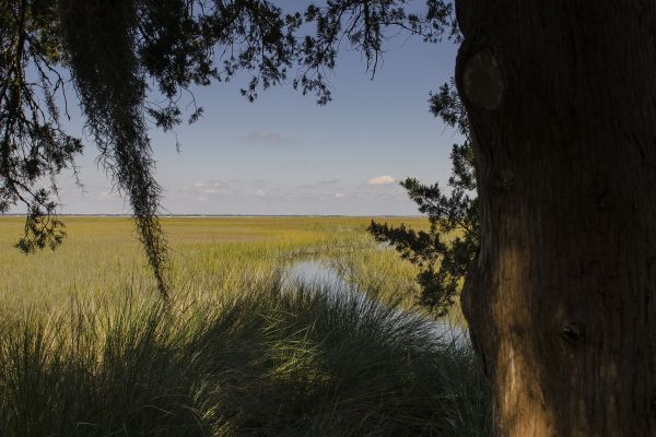 Georgië,Verenigde Staten van Amerika,wolken,landschap,buitenshuis,eiland