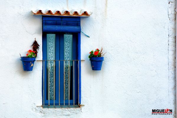 Straße,blau,Meer,Fenster,Licht,Kaktus