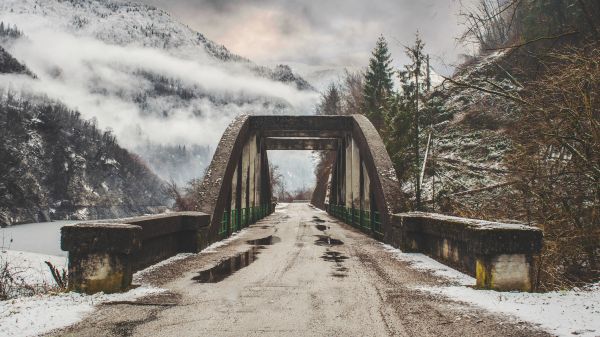 nube,cielo,Natural landscape,pianta,legna,la neve