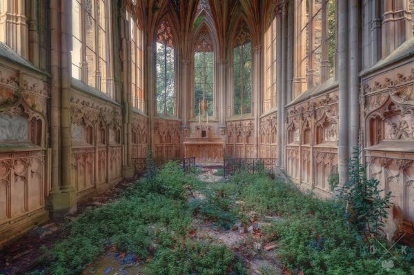 construção,abandonado,interior,arco,Coberto,Plantas